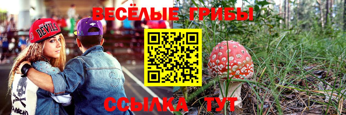 Галлюциногенные грибы Cubensis Абакан